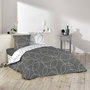 Voir la diapositive 1 : Douceur d'Intérieur Housse de couette microfibre 220x240 Elton + 2 taies
