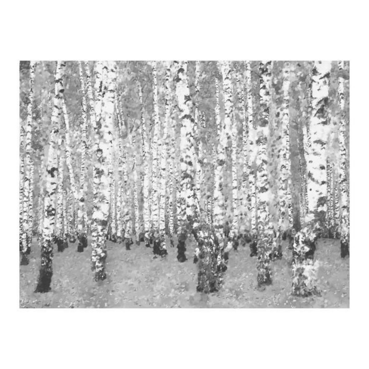 Paris Prix Papier Peint  Birch Seclusion