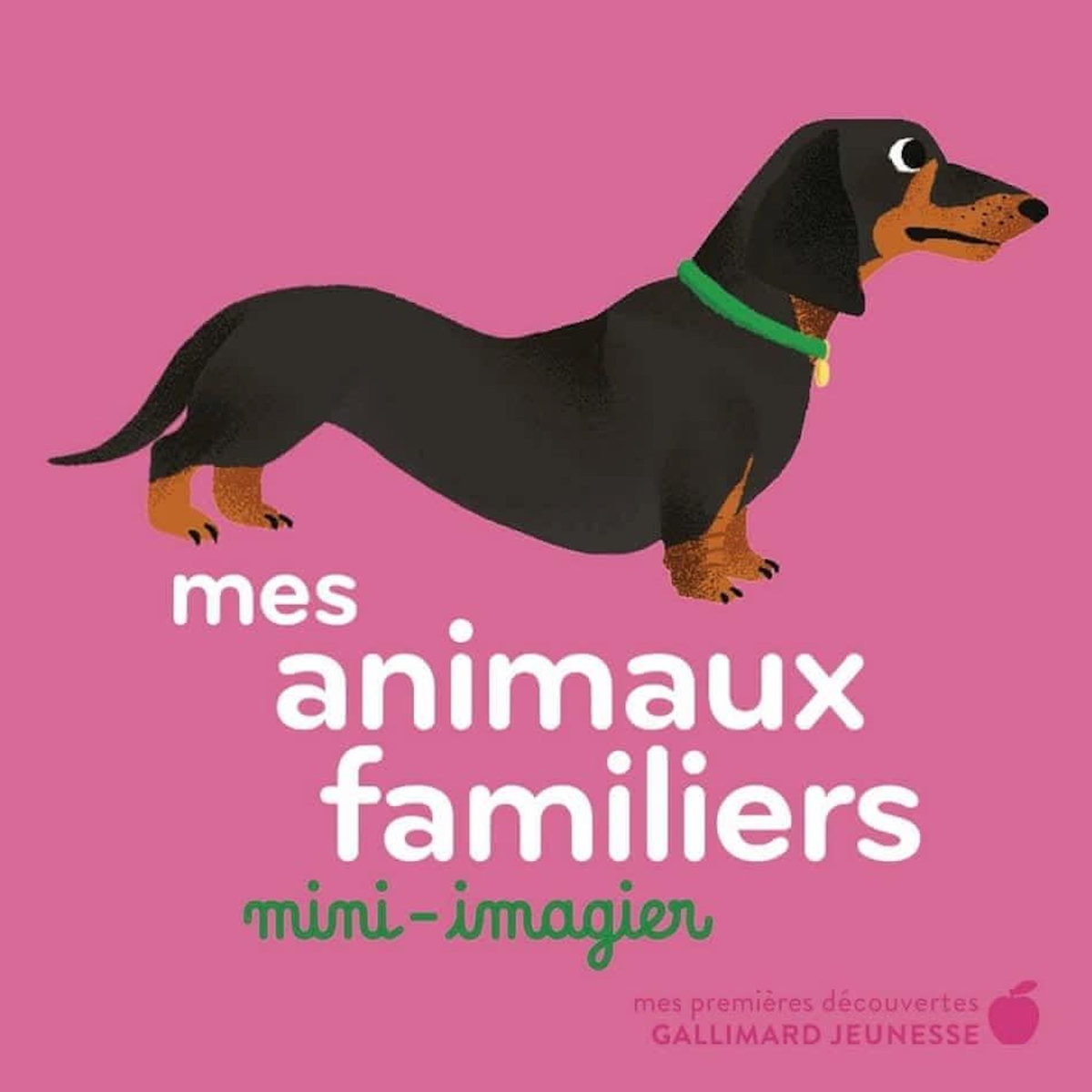 MES ANIMAUX FAMILIERS, Falière Amélie