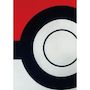 Voir la diapositive 5 : Pokemon Coussin double face - Carré - POKEMON - Poké-Ball et Starter - Microfibre - 40 x 40 cm