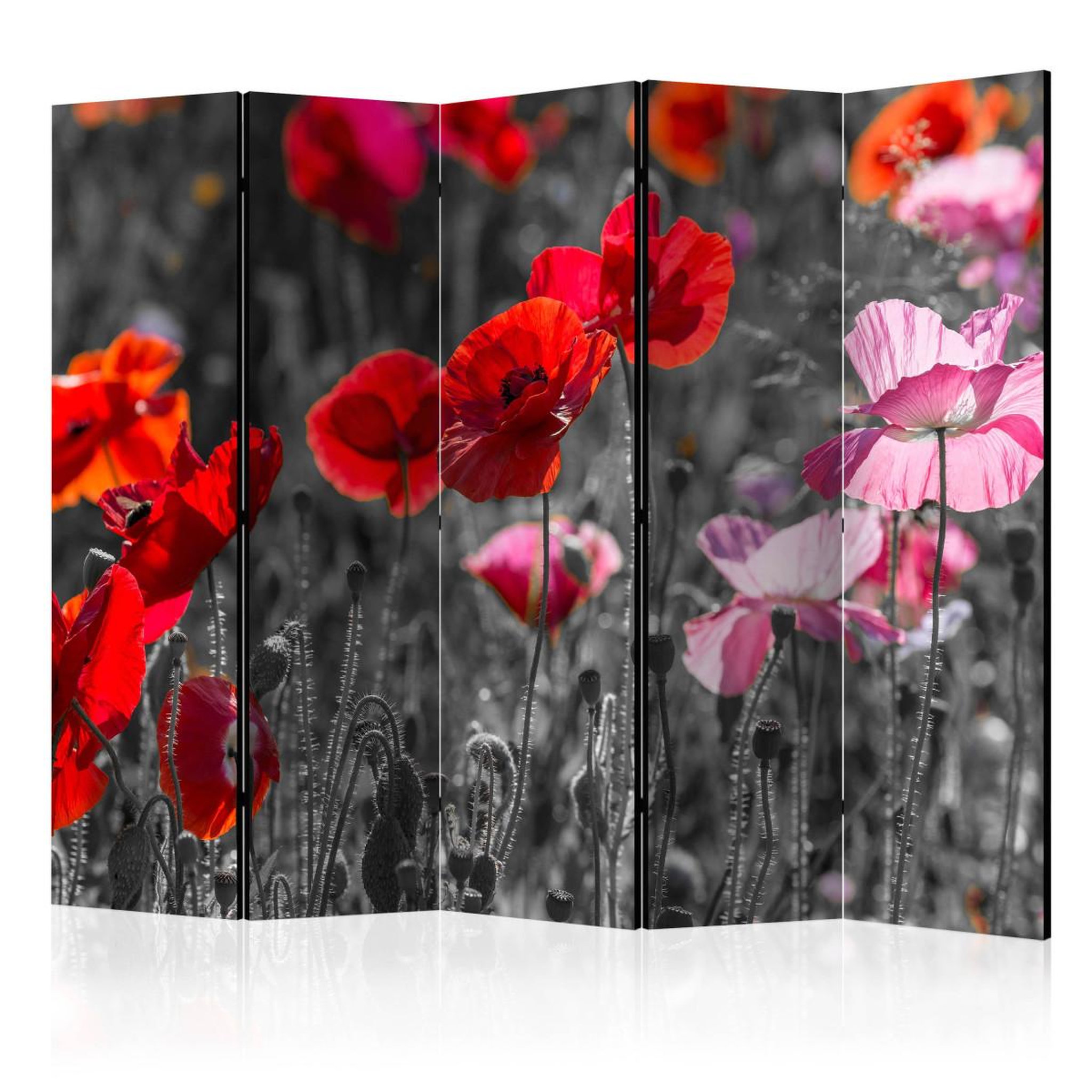 Paris Prix Paravent 5 volets  red poppies  172x225cm