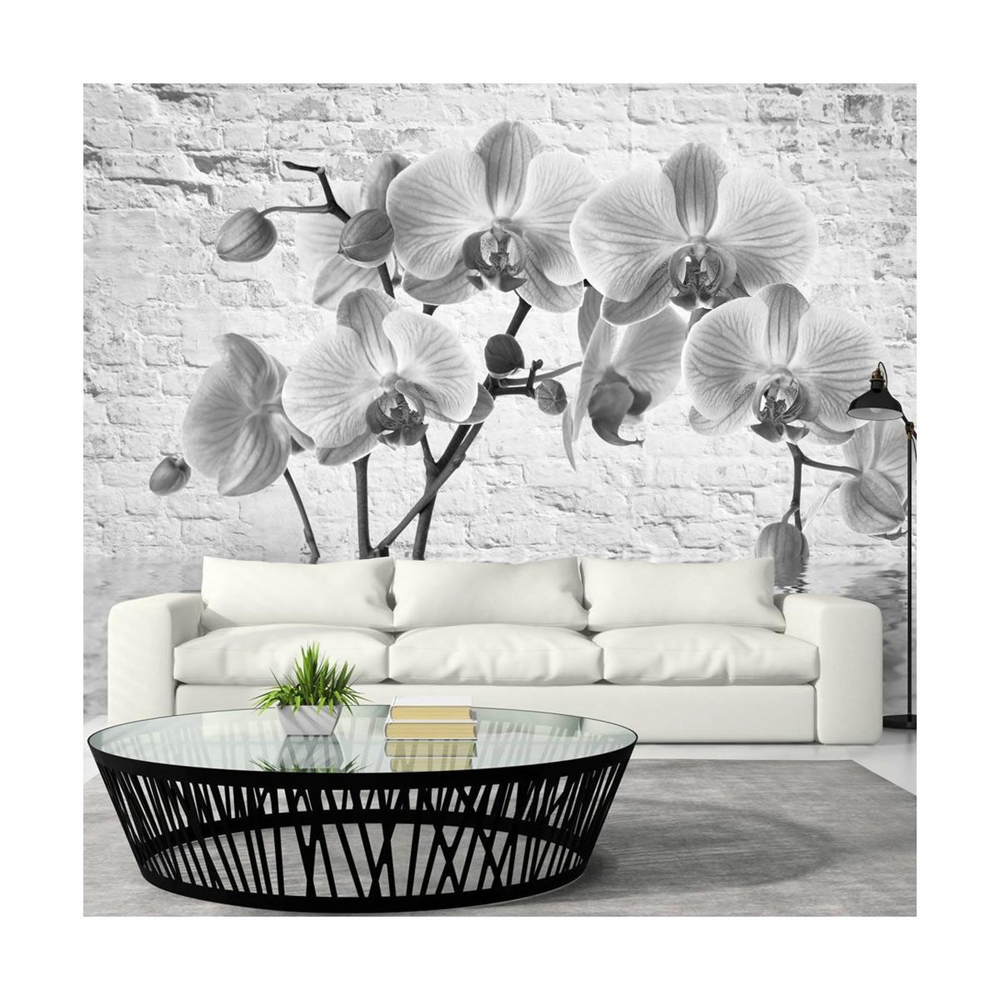 Voir la diapositive 1 : Paris Prix Papier peint  orchid in shades of gray