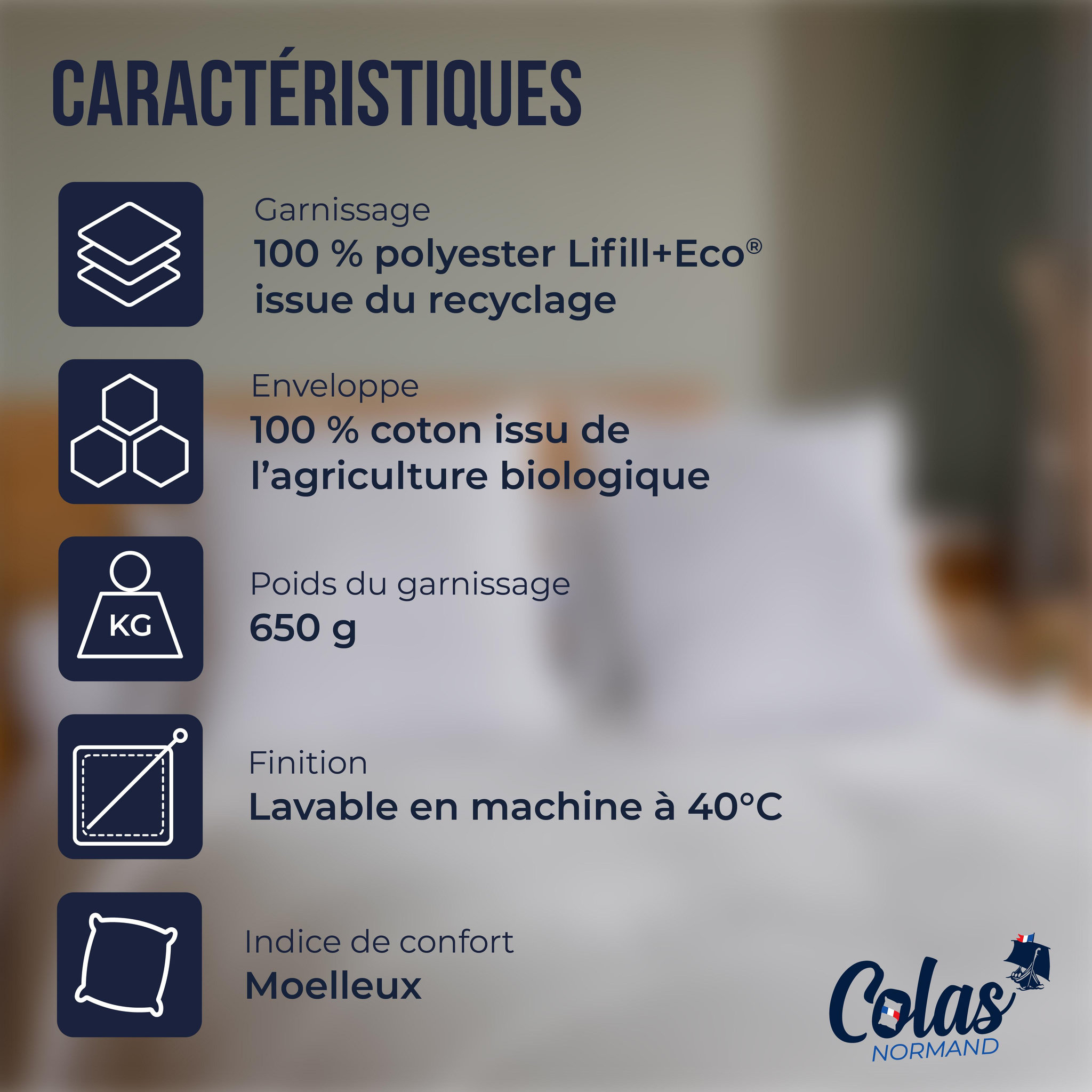 Voir la diapositive 3 : COLAS NORMAND Lot d'oreillers bio moelleux 65x65 cm