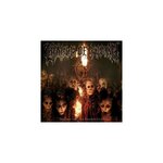 Trouble And Their Double Lives