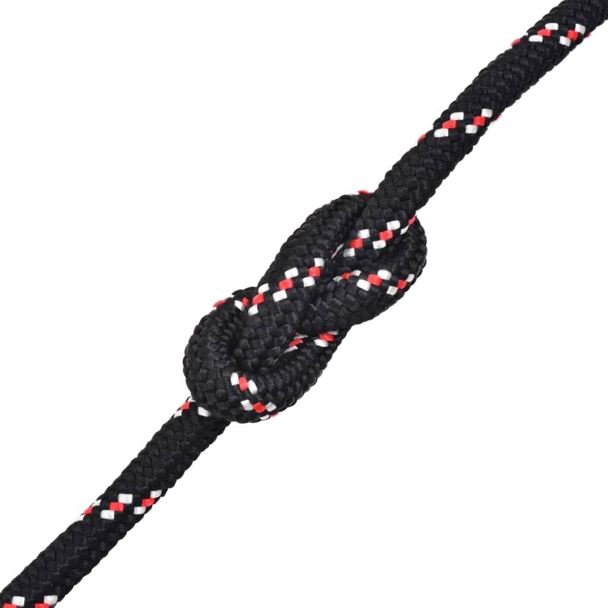 Voir la diapositive 2 : VIDAXL Corde de bateau Polypropylene 14 mm 50 m Noir