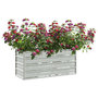 Voir la diapositive 3 : VIDAXL Lit sureleve de jardin 100x40x45 cm Acier galvanise Argente