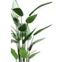 Voir la diapositive 3 : EMERALD Emerald Plante artificielle Heliconia Vert 125 cm 419837