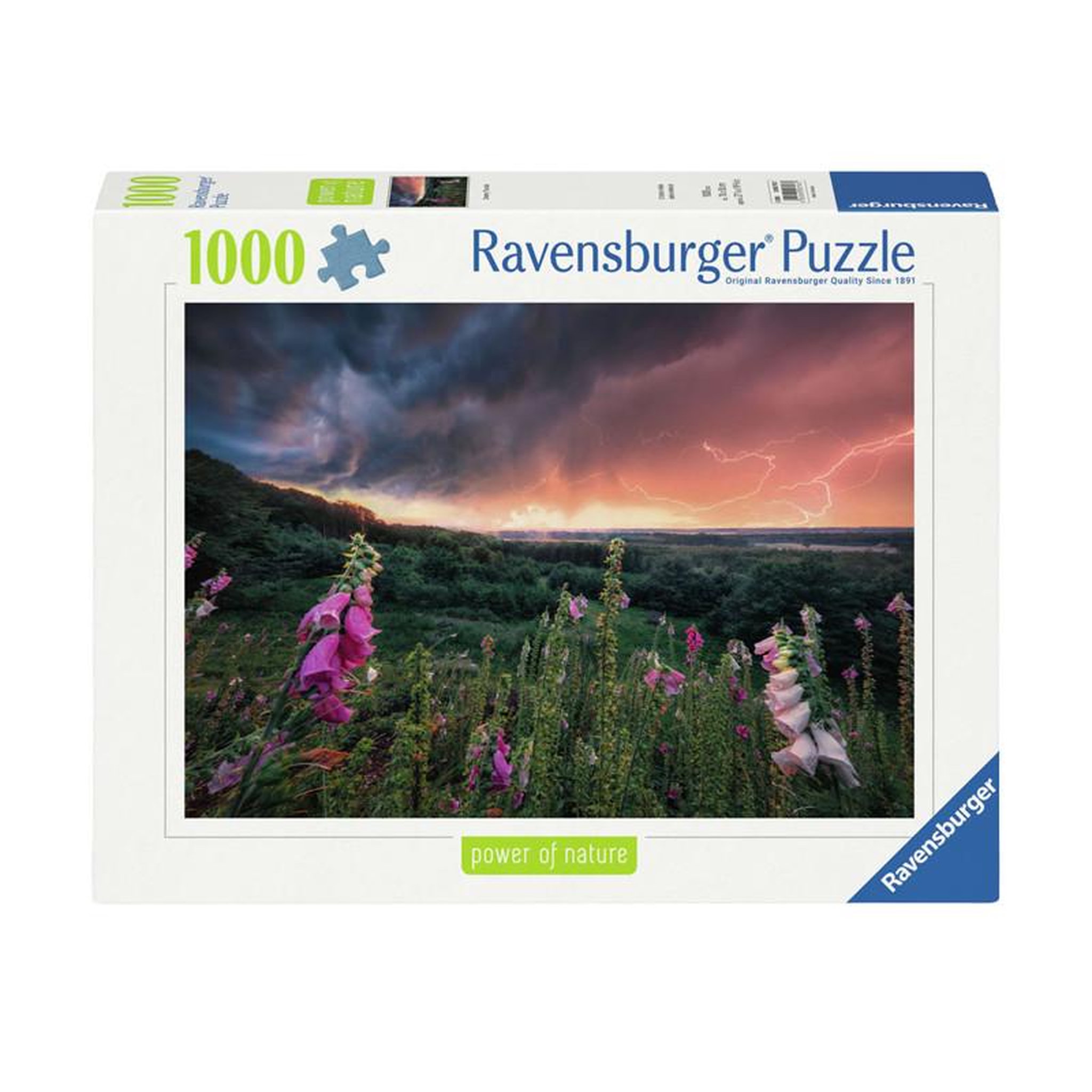 RAVENSBURGER Ravensburger - Jigsaw puzzle Ein Sturm Zieht Auf, 1000pcs. 12000793 7