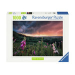 RAVENSBURGER Ravensburger - Jigsaw puzzle Ein Sturm Zieht Auf, 1000pcs. 12000793 7