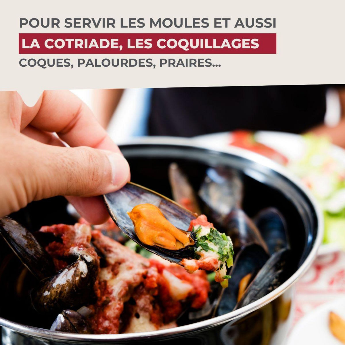 Fackelmann Marmite à moules émaillée 20,5 x 26 x 17,5 cm Fackelmann