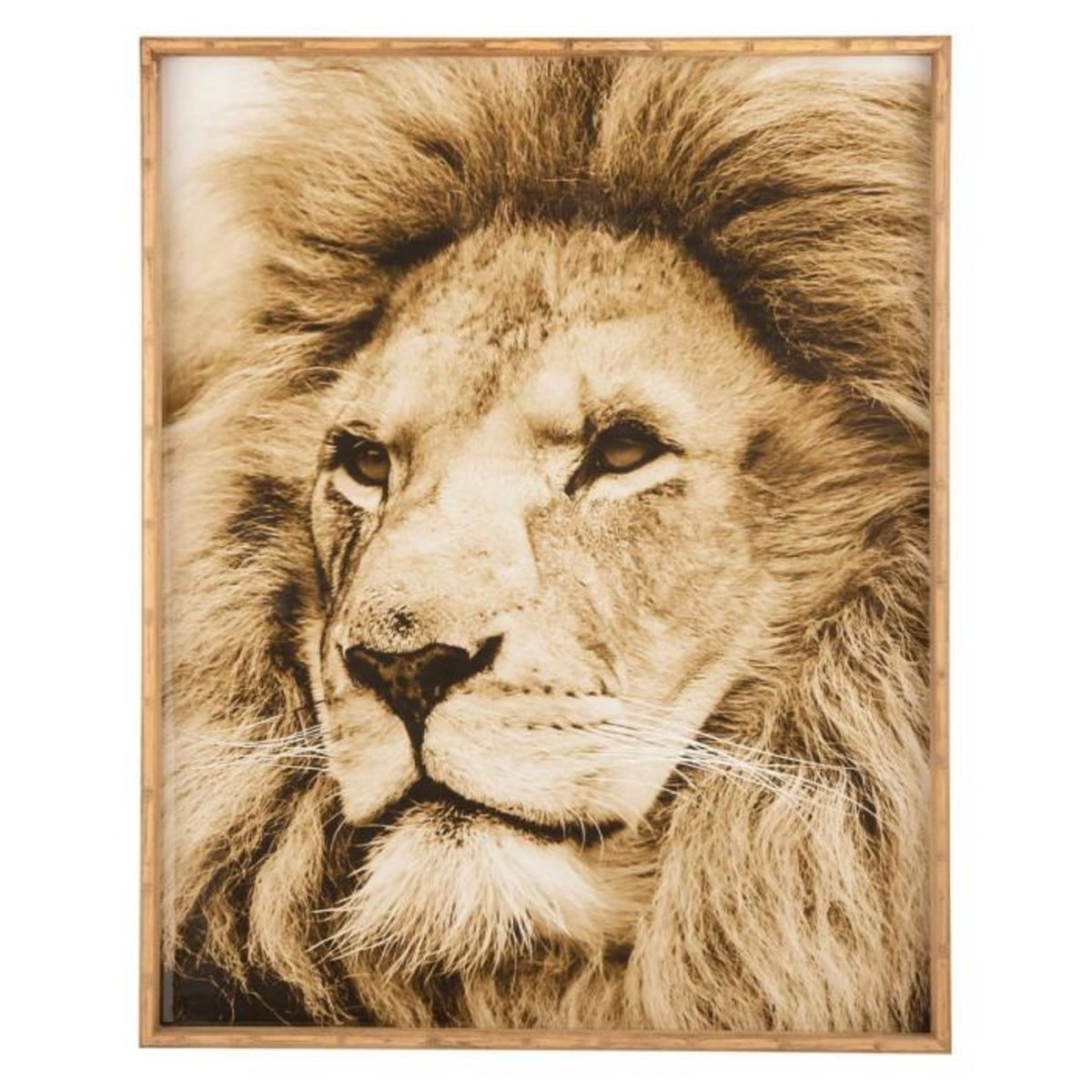 Paris Prix Tableau Imprimé Déco  Lion  80x100cm Marron