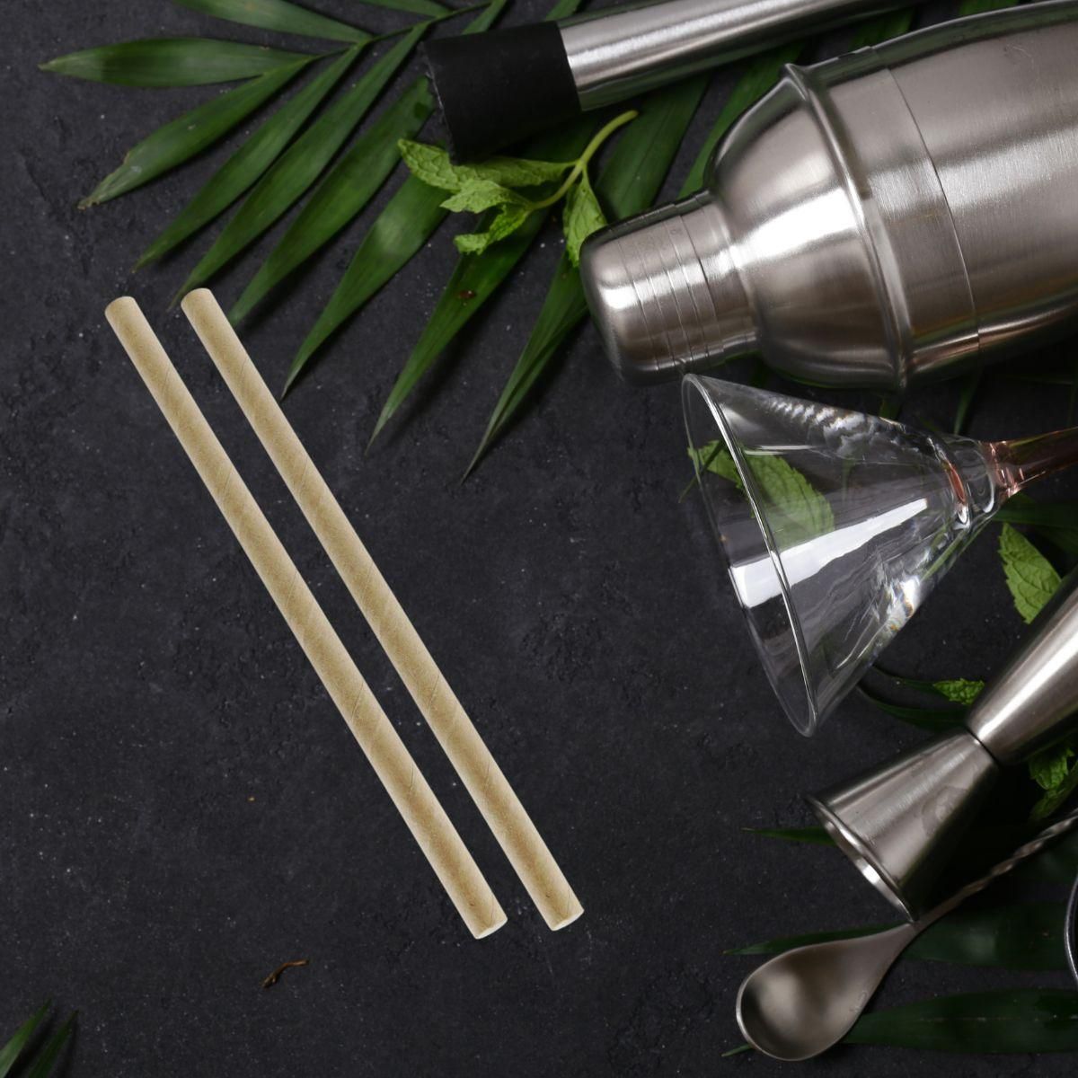 Fackelmann Boite de 50 pailles en papier rigide brun 15 cm Fackelmann Nature