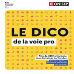 LE DICO DE LA VOIE PRO. PRES DE 300 FORMATIONS TOUS DOMAINES CONFONDUS, ONISEP
