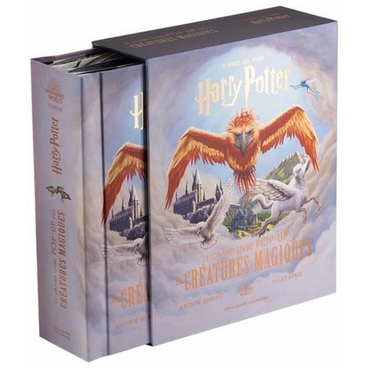 LE GRAND LIVRE POP-UP DES CREATURES MAGIQUES. D'APRES LES FILMS HARRY POTTER, Reinhart Matthew