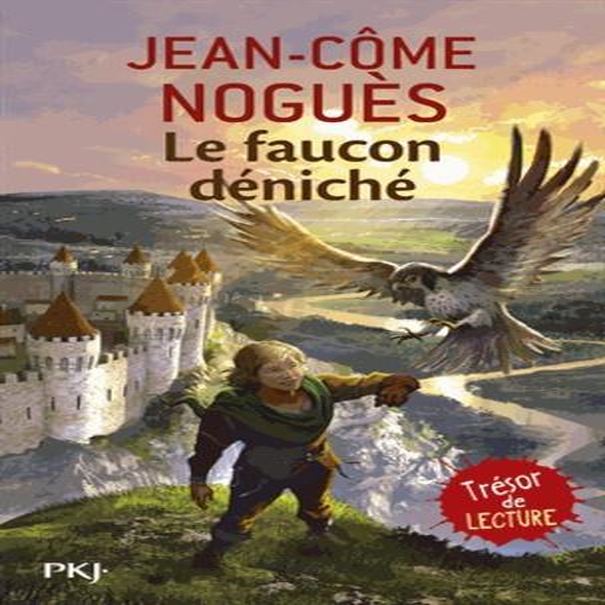 LE FAUCON DENICHE, Noguès Jean-Côme