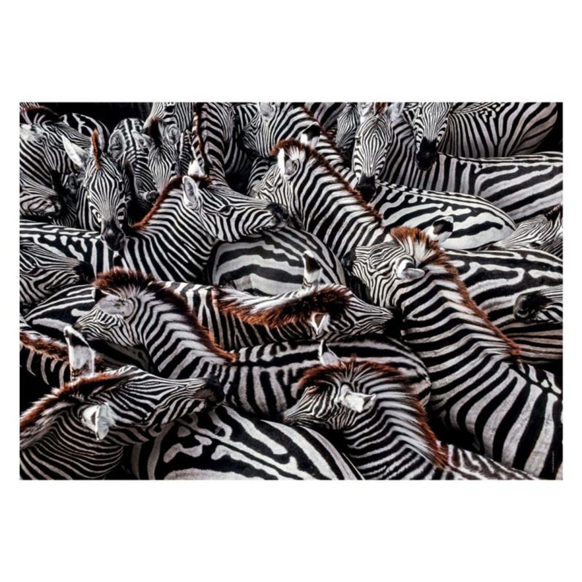 CLEMENTONI Clementoni Jigsaw Puzzle National Geographics - Zebra, 1000 pcs. 39729
