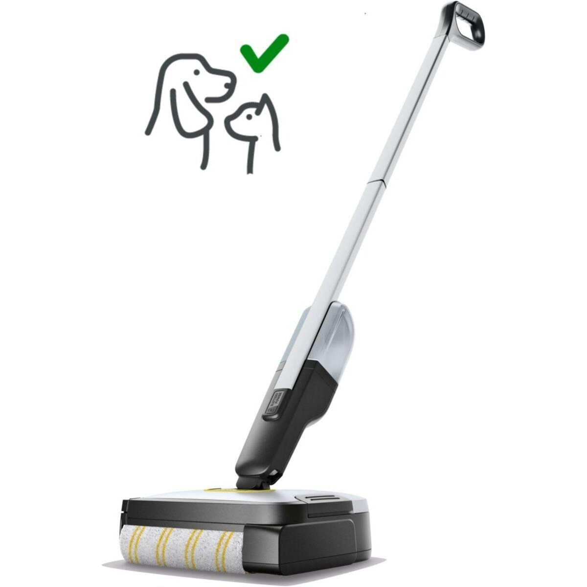 KARCHER Aspirateur laveur FC 2-4 sans fil