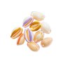 RICO DESIGN 10 Perles - Coquillages multicolores - 2 perforations