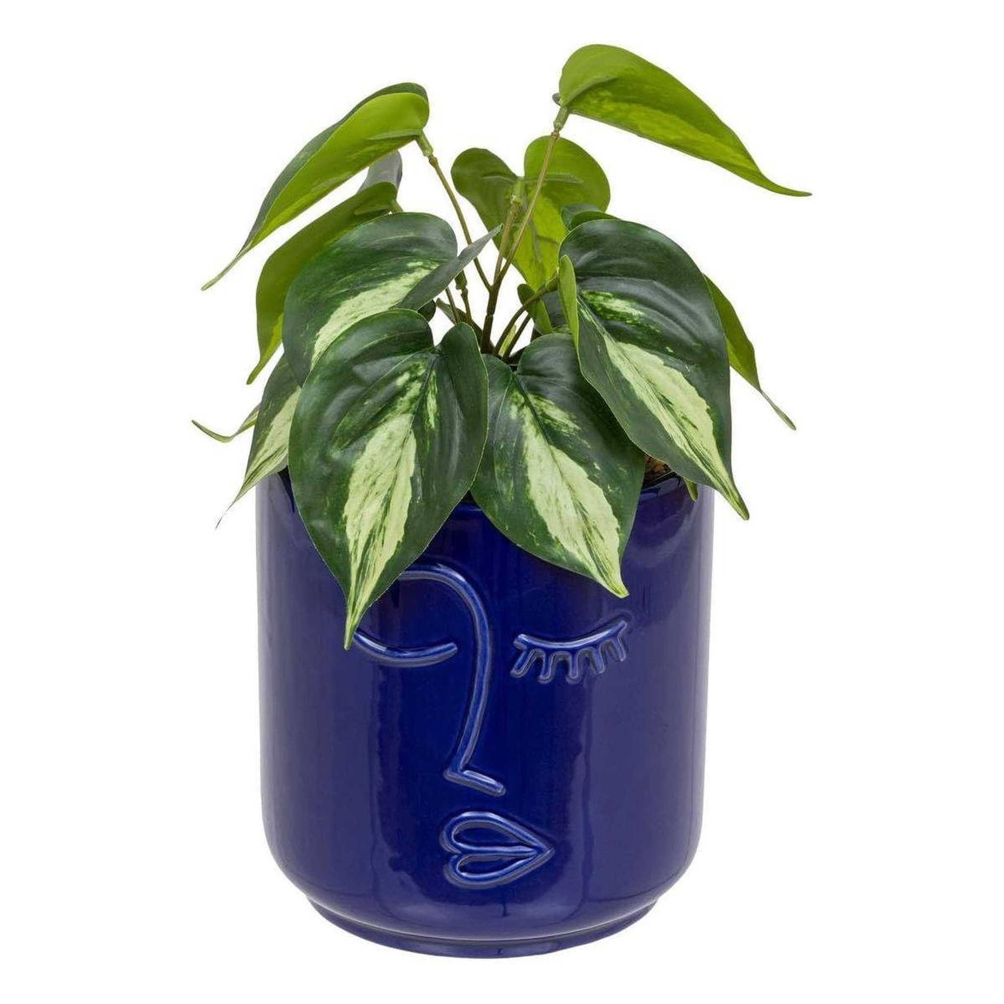 ATMOSPHERA Plante artificielle en pot  soleya  30cm bleu