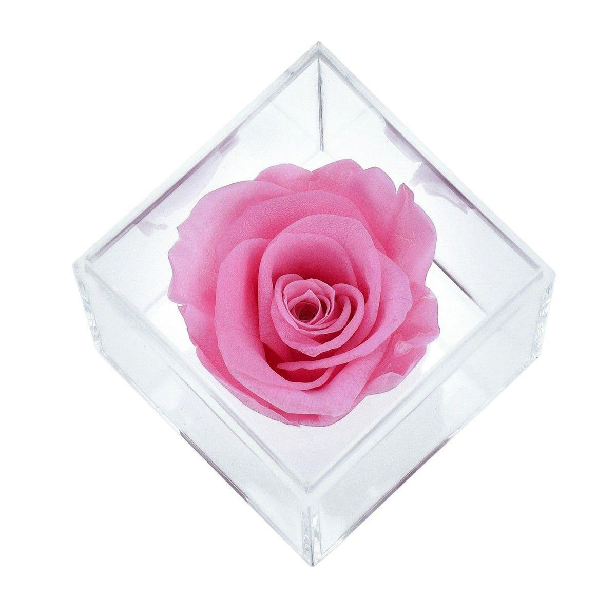 SC CRYSTAL Ecrin décoré d'une rose éternelle stabilisée - rose