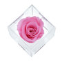 Voir la diapositive 2 : SC CRYSTAL Ecrin décoré d'une rose éternelle stabilisée - rose