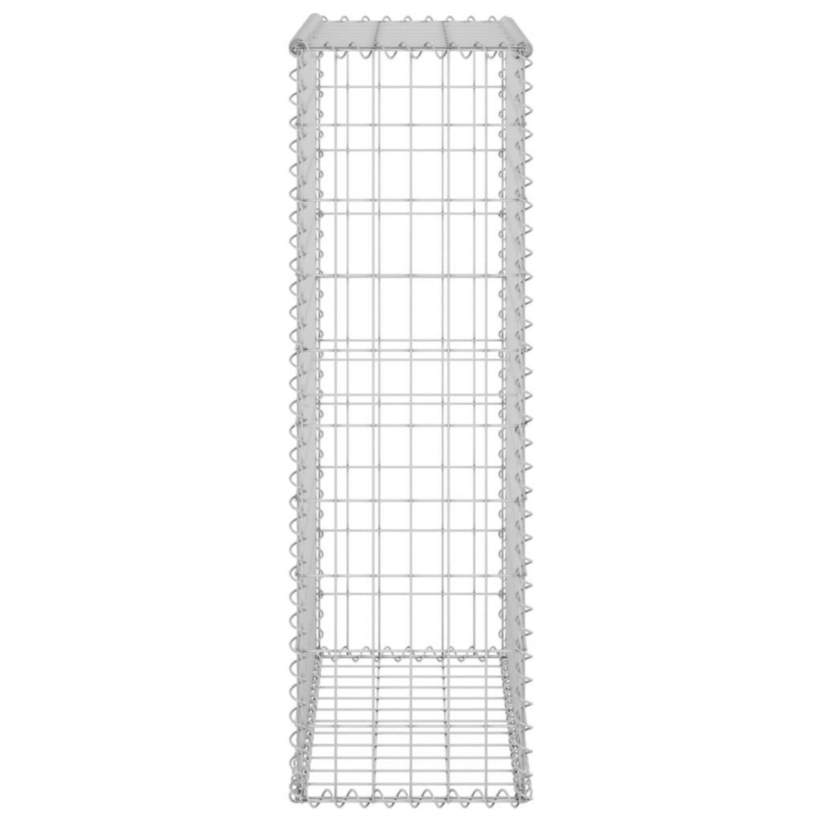 VIDAXL Mur en gabion avec couvercles Acier galvanise 60x30x100 cm