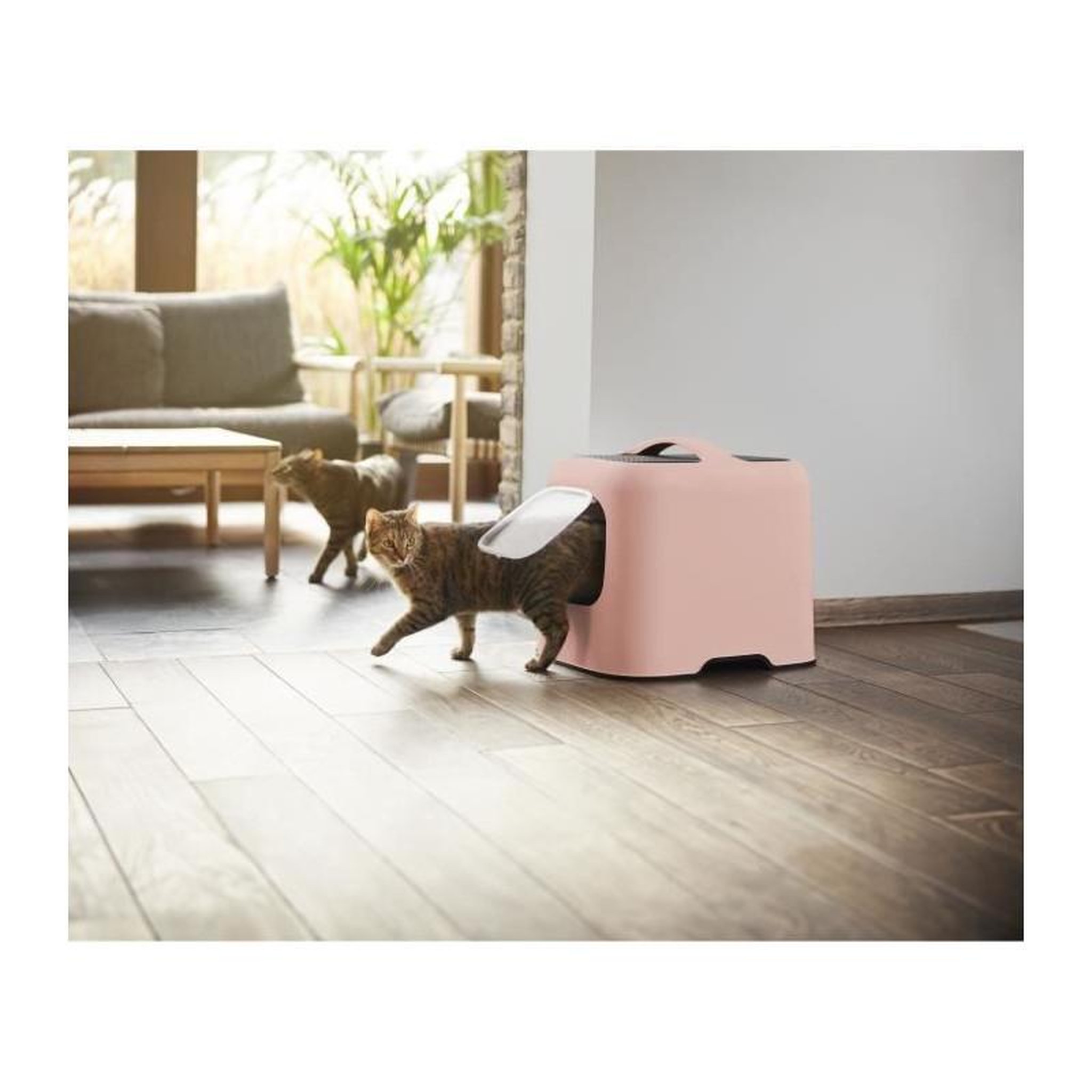 Voir la diapositive 2 : ROTHO Maison toilette - BIALA - ROHTO - ROSE