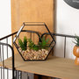 Voir la diapositive 3 : ATMOSPHERA Terrarium Hexagonal en Verre  Pia  20cm Noir