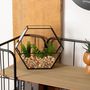 Voir la diapositive 3 : ATMOSPHERA Terrarium Hexagonal en Verre  Pia  20cm Noir
