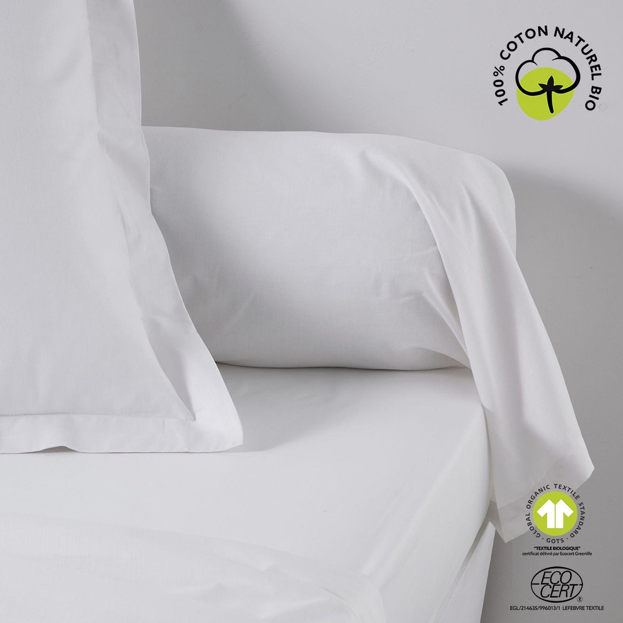 Voir la diapositive 2 : Today Taie de traversin - 100% coton BIO