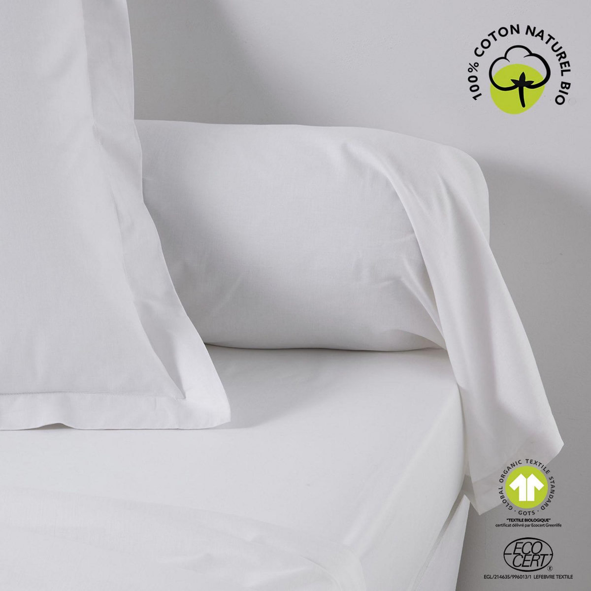 Today Taie de traversin - 100% coton BIO