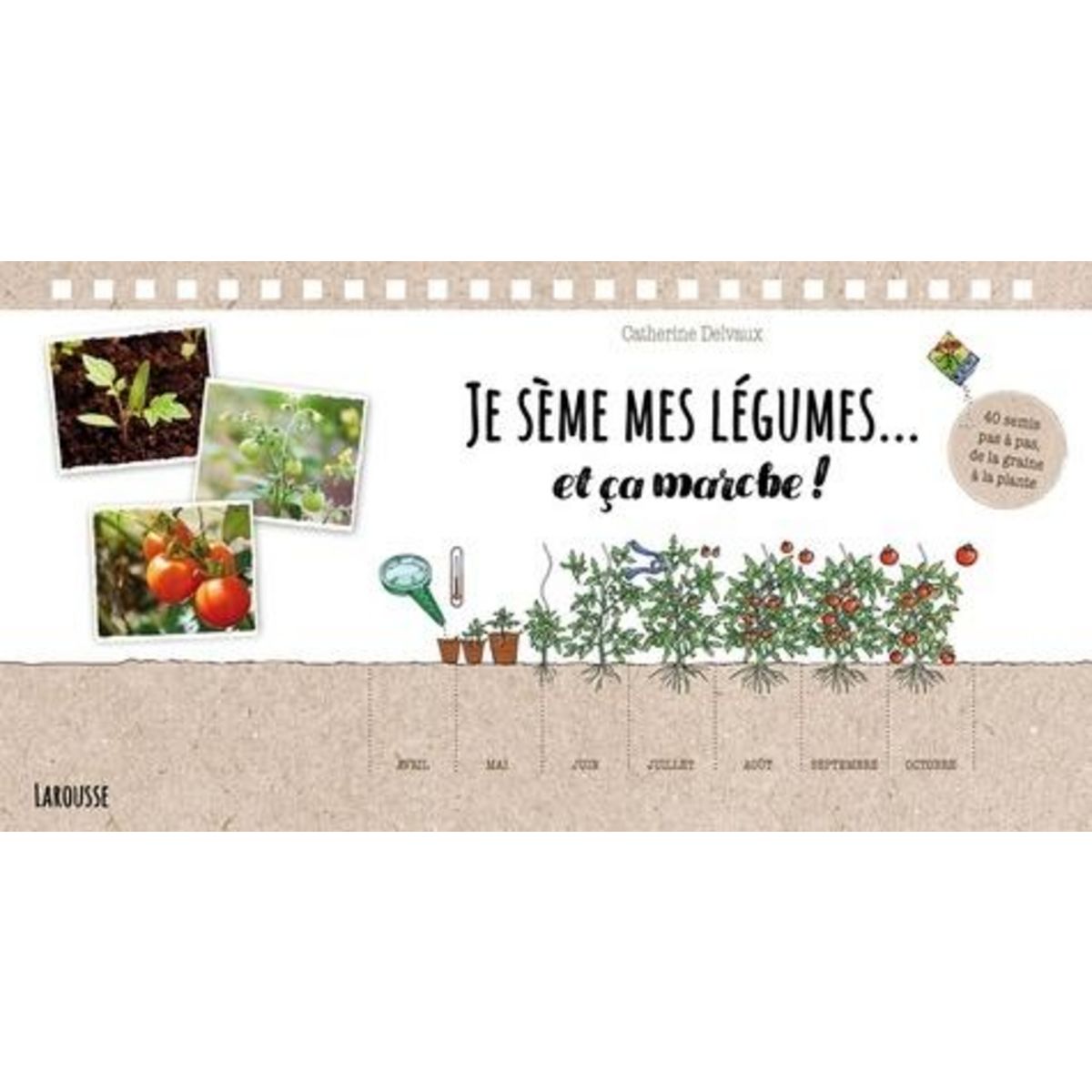 JE SEME MES LEGUMES... ET CA MARCHE ! 40 SEMIS PAS A PAS, DE LA GRAINE A LA PLANTE, Delvaux Catherine