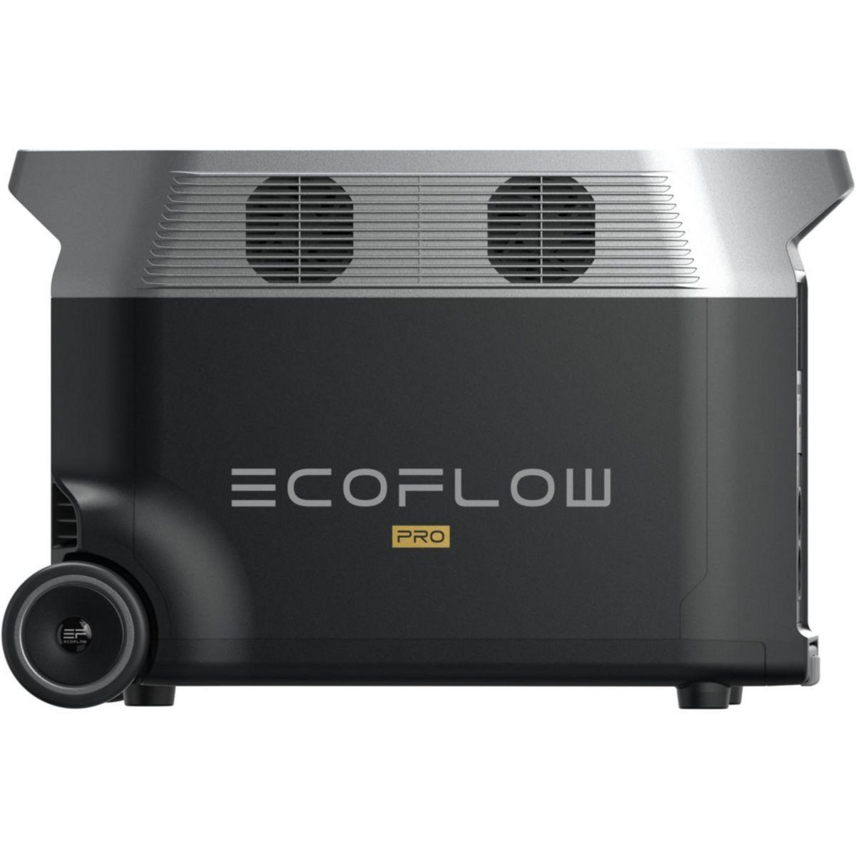 ECOFLOW Batterie nomade DELTA Pro 3600Wh
