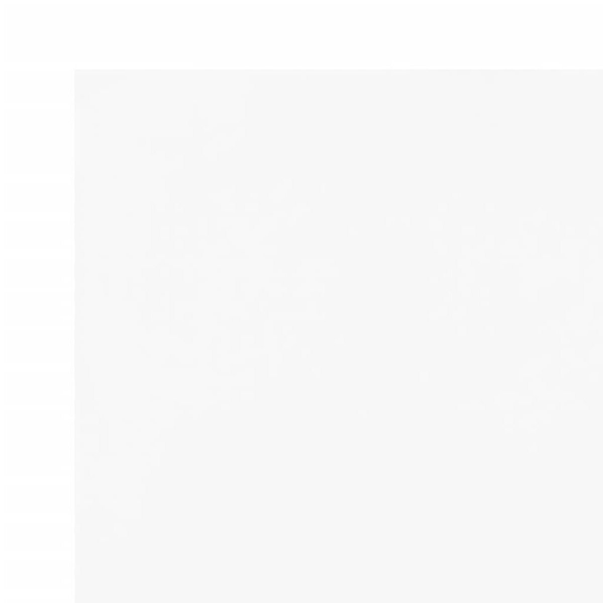 VIDAXL Bache blanc 1,5x10 m 600 /m²