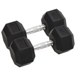 VIDAXL Halteres 2 pcs 30 kg Total Fonte