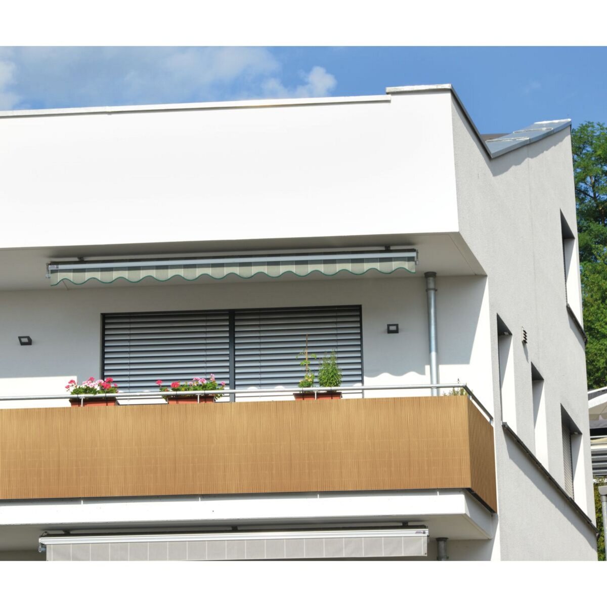 Catral Canisse LOP 1,5x3m aspect naturel