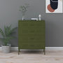 Voir la diapositive 1 : VIDAXL Commode Vert olive 80x35x101,5 cm Acier