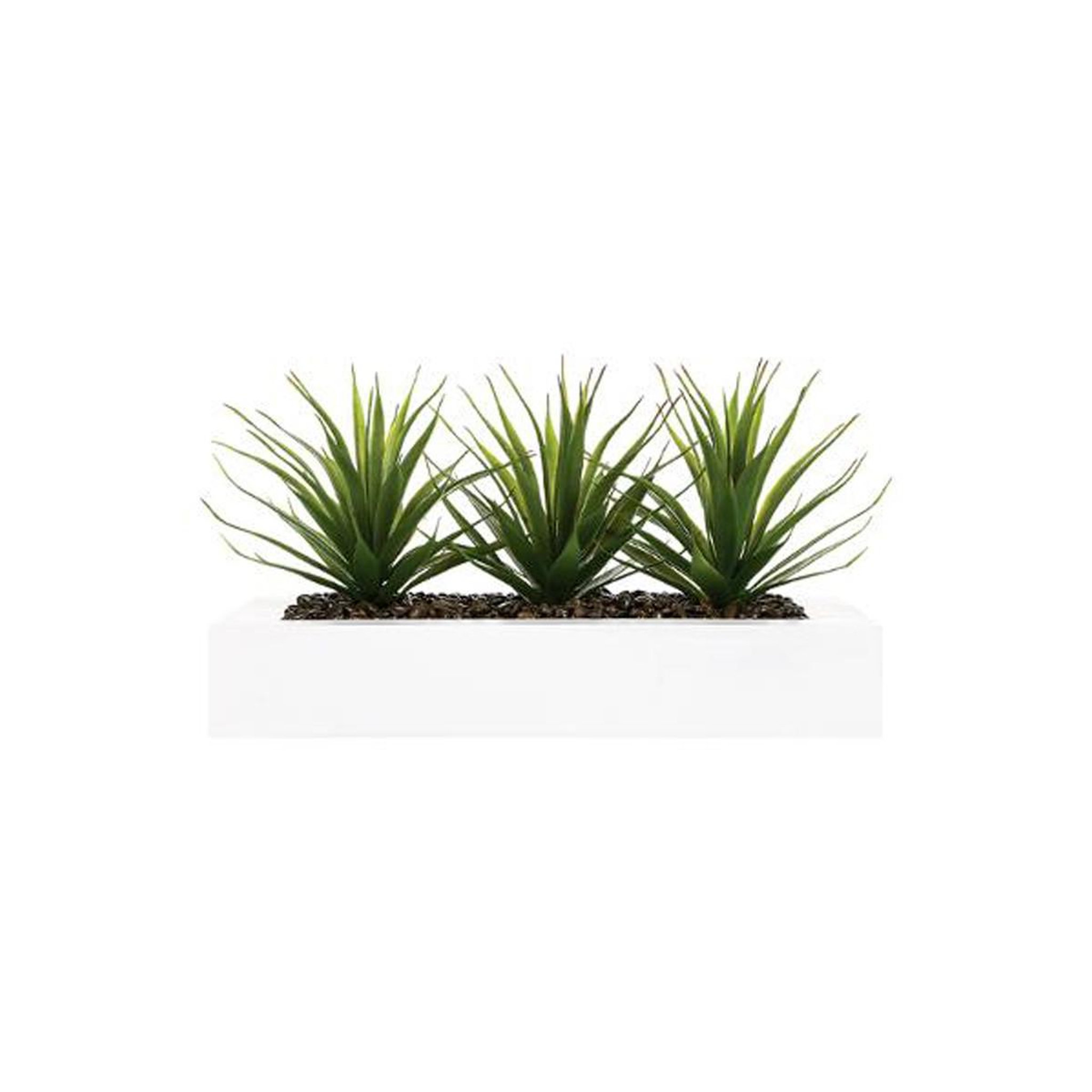 Voir la diapositive 2 : ATMOSPHERA Centre de table aloe vera  plant  31cm blanc