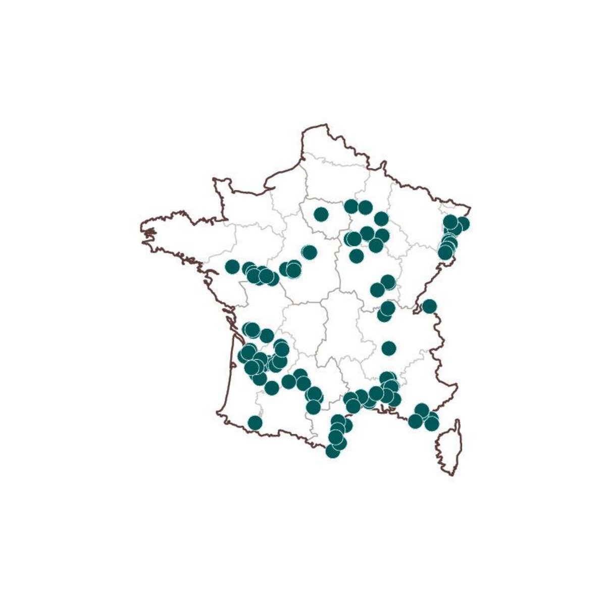 Smartbox Voyage autour du vin - Coffret Cadeau Séjour