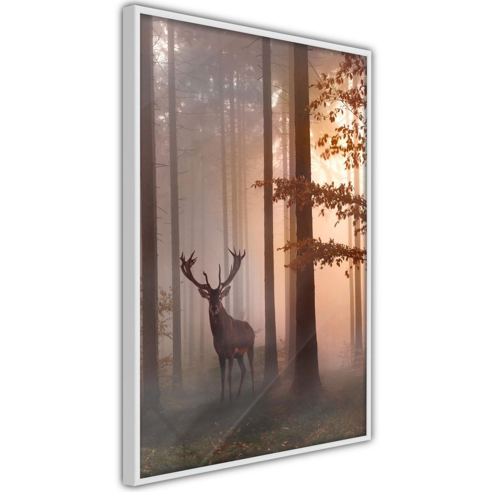 Paris Prix Affiche murale encadrée  forest seclusion