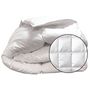 Voir la diapositive 2 : DODO COUETTE chaude DODO toucher duvet OLYMPE
