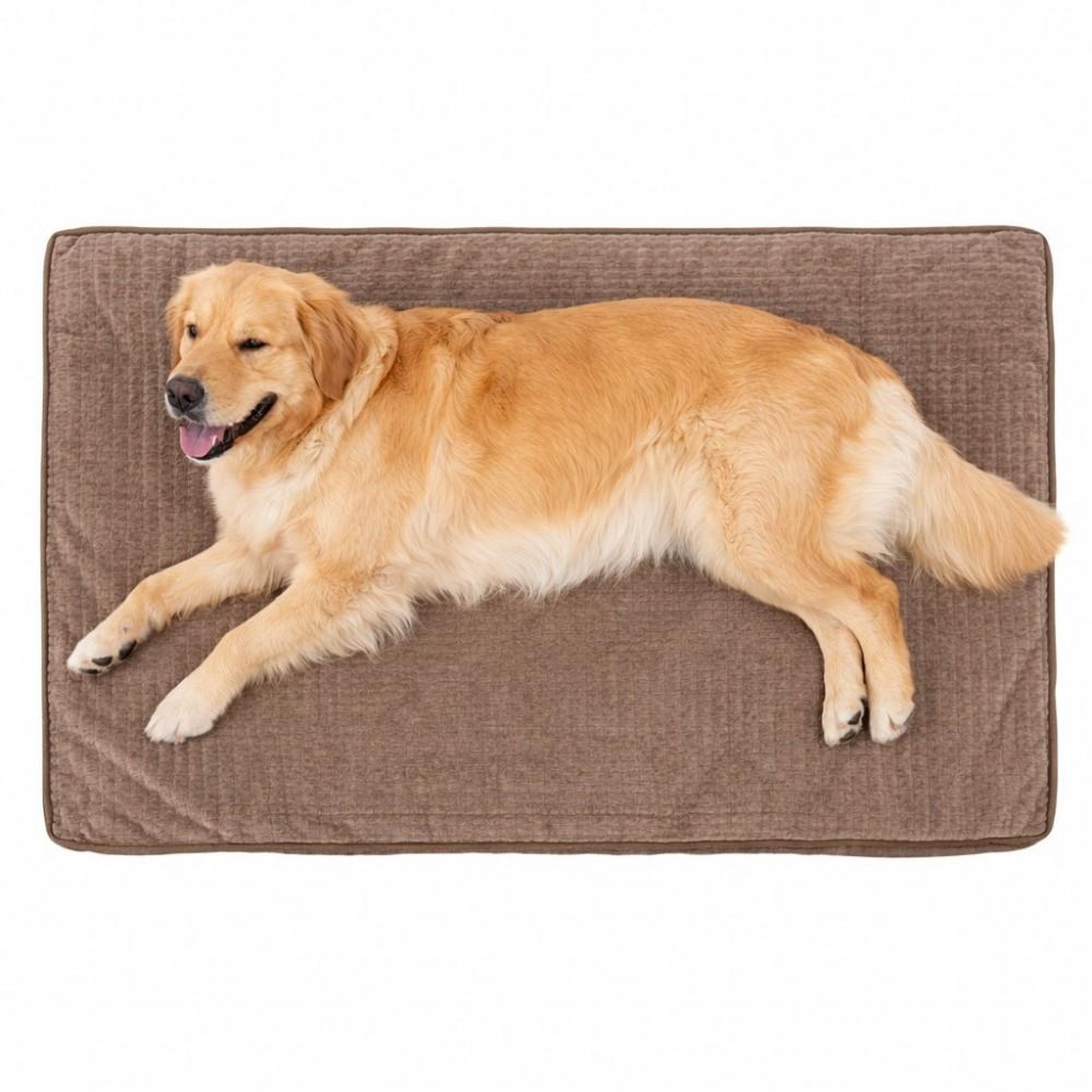 Voir la diapositive 4 : MON AMI LUKI Matelas toucher soft antiderapant pour chien