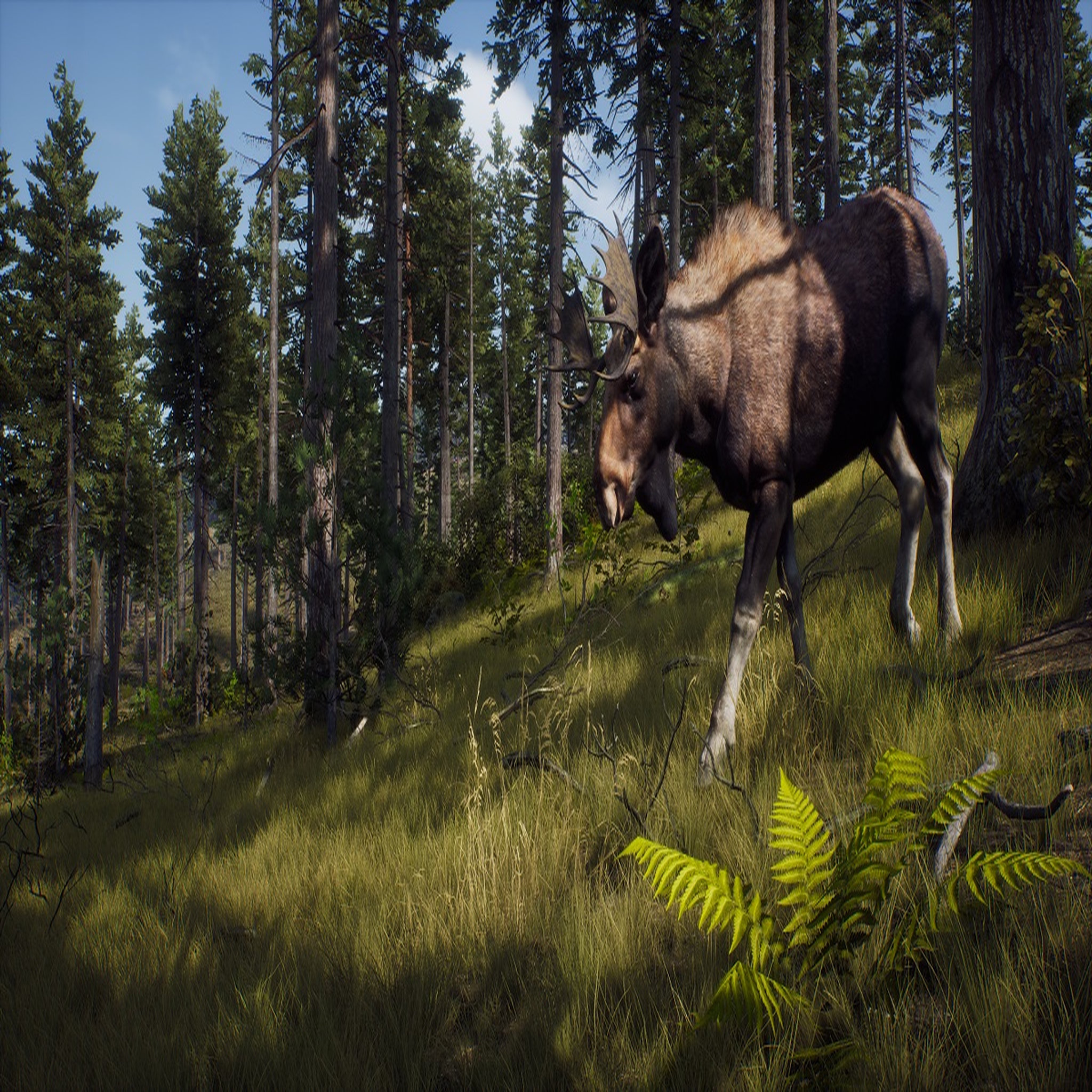 Voir la diapositive 2 : Way Of The Hunter PS5