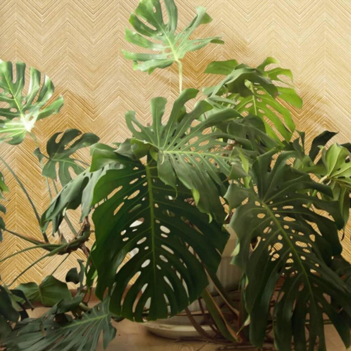 Noordwand Noordwand Papier peint Topchic Herringbone Beige