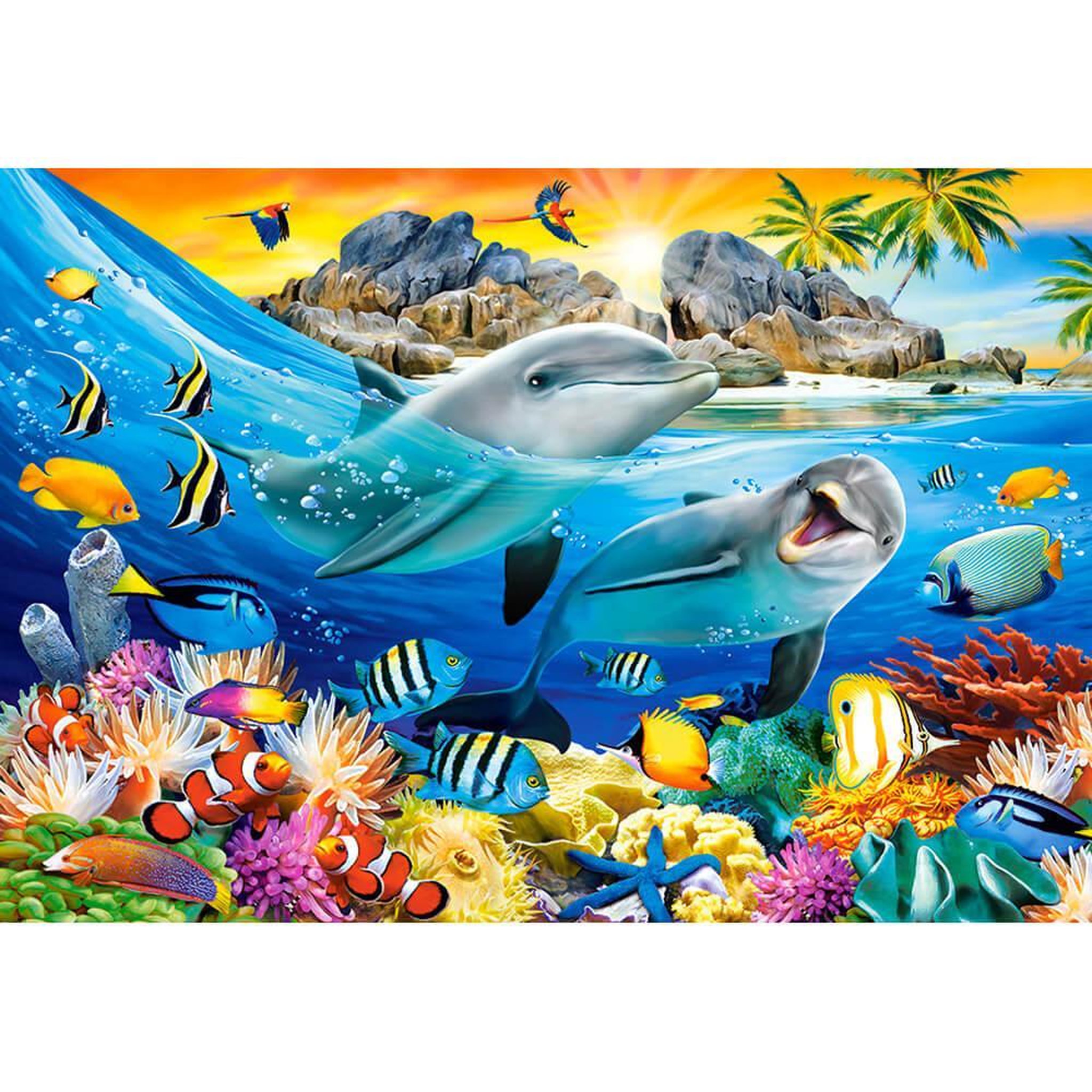 Castorland Puzzle 1000 pièces : Dauphins sous les tropiques