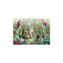 Voir la diapositive 2 : RAVENSBURGER Ravensburger - Jigsaw puzzle The Secret Garden, 1000 pcs. 120005421