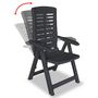 Voir la diapositive 2 : VIDAXL Chaises inclinables de jardin lot de 2 Plastique Anthracite