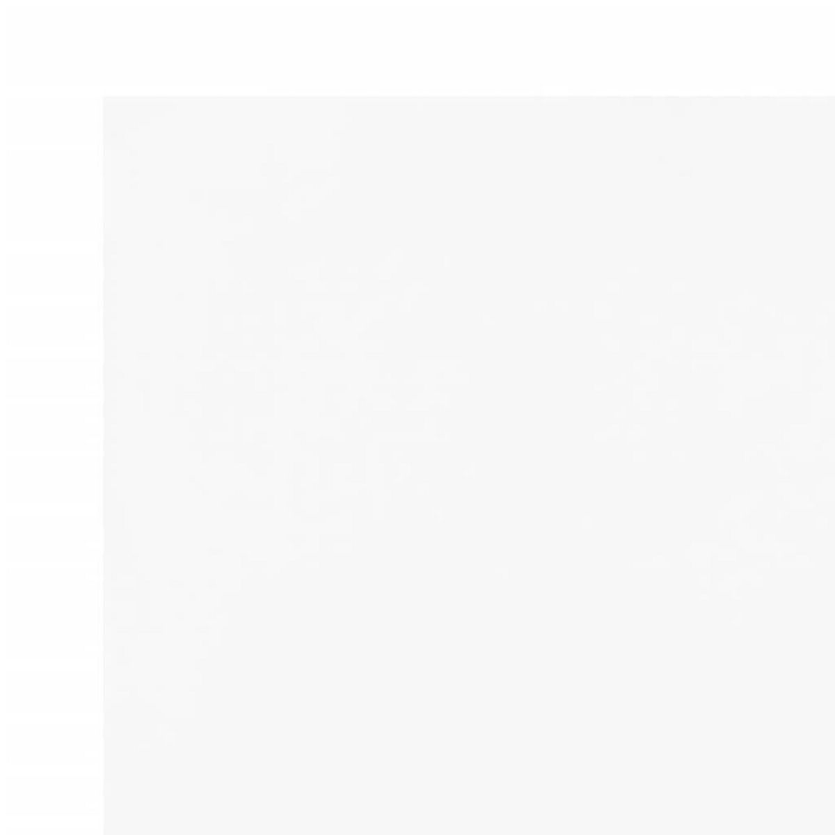 VIDAXL Bache blanc 6x8 m 600 /m²