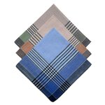 VANDERSICKEL Lot de 12 mouchoirs Homme 38x38cm 100% coton