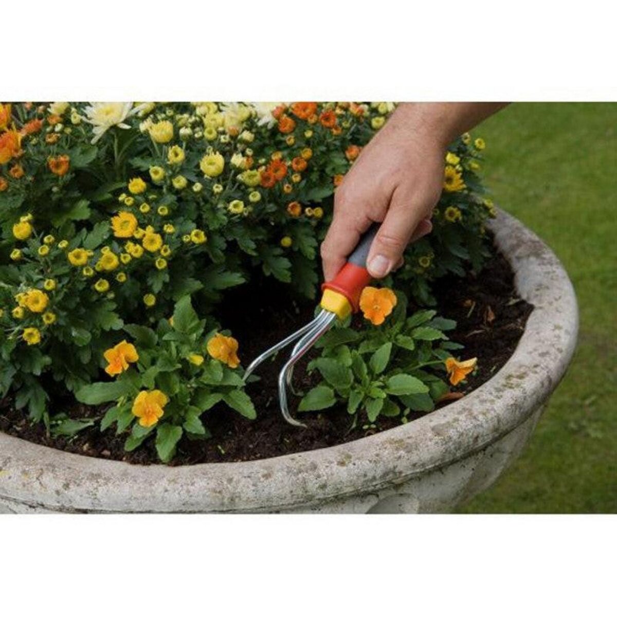 Outils Wolf Petite griffe 3 dents 7 cm OUTILS WOLF KAK revêtement anti-dérapant